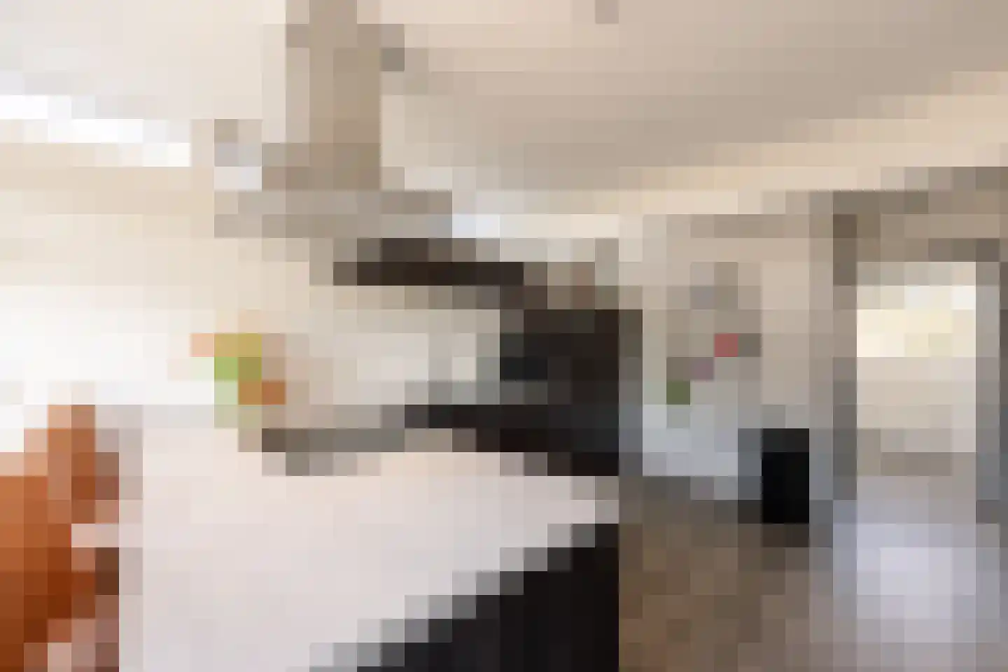 Tynjestrjitte 10 Parrega thumbnail 13