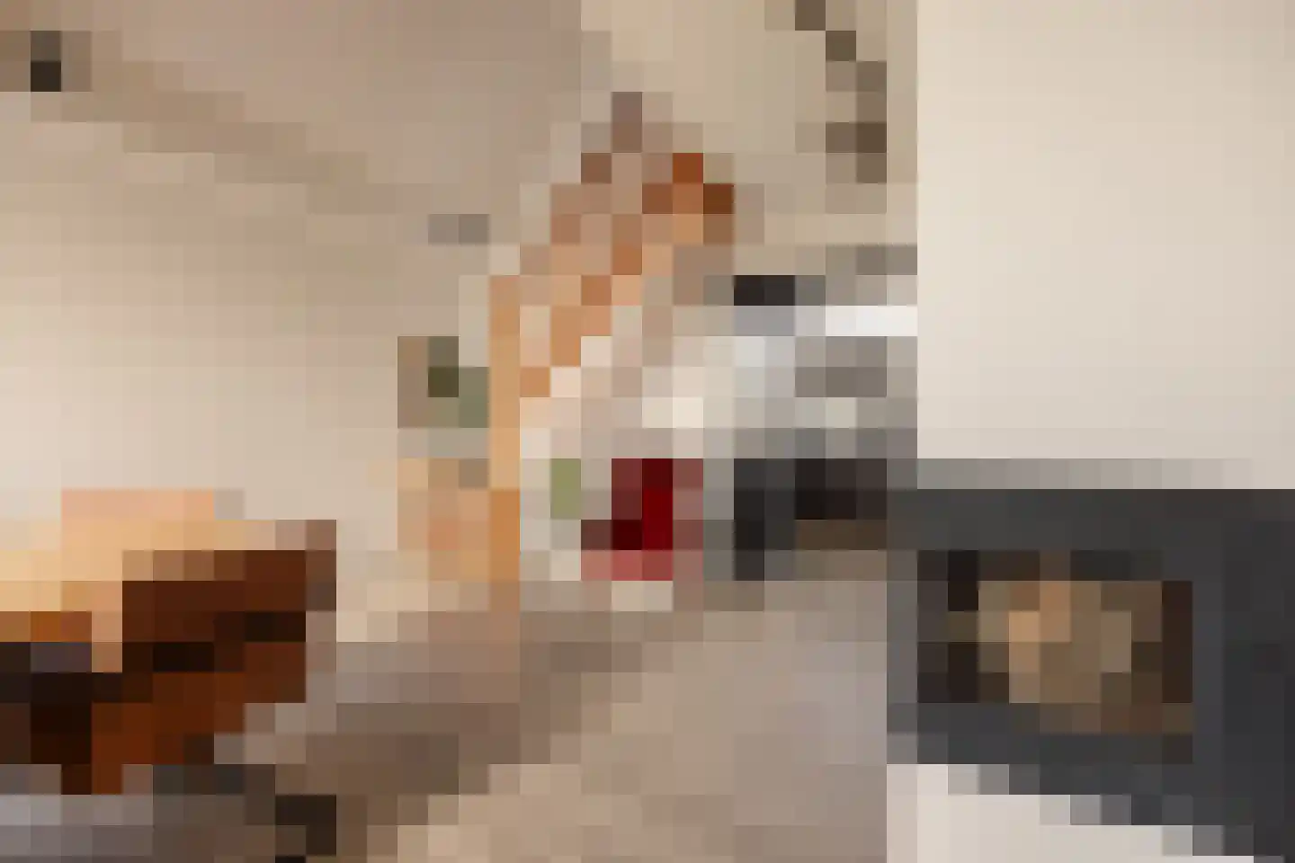 Tynjestrjitte 10 Parrega thumbnail 18