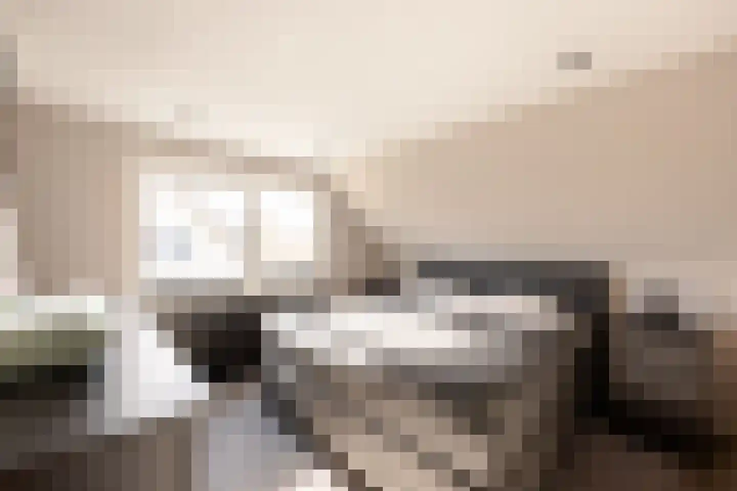Tynjestrjitte 10 Parrega thumbnail 21