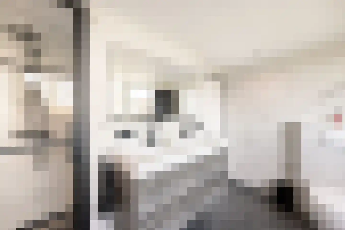 Tynjestrjitte 10 Parrega thumbnail 27