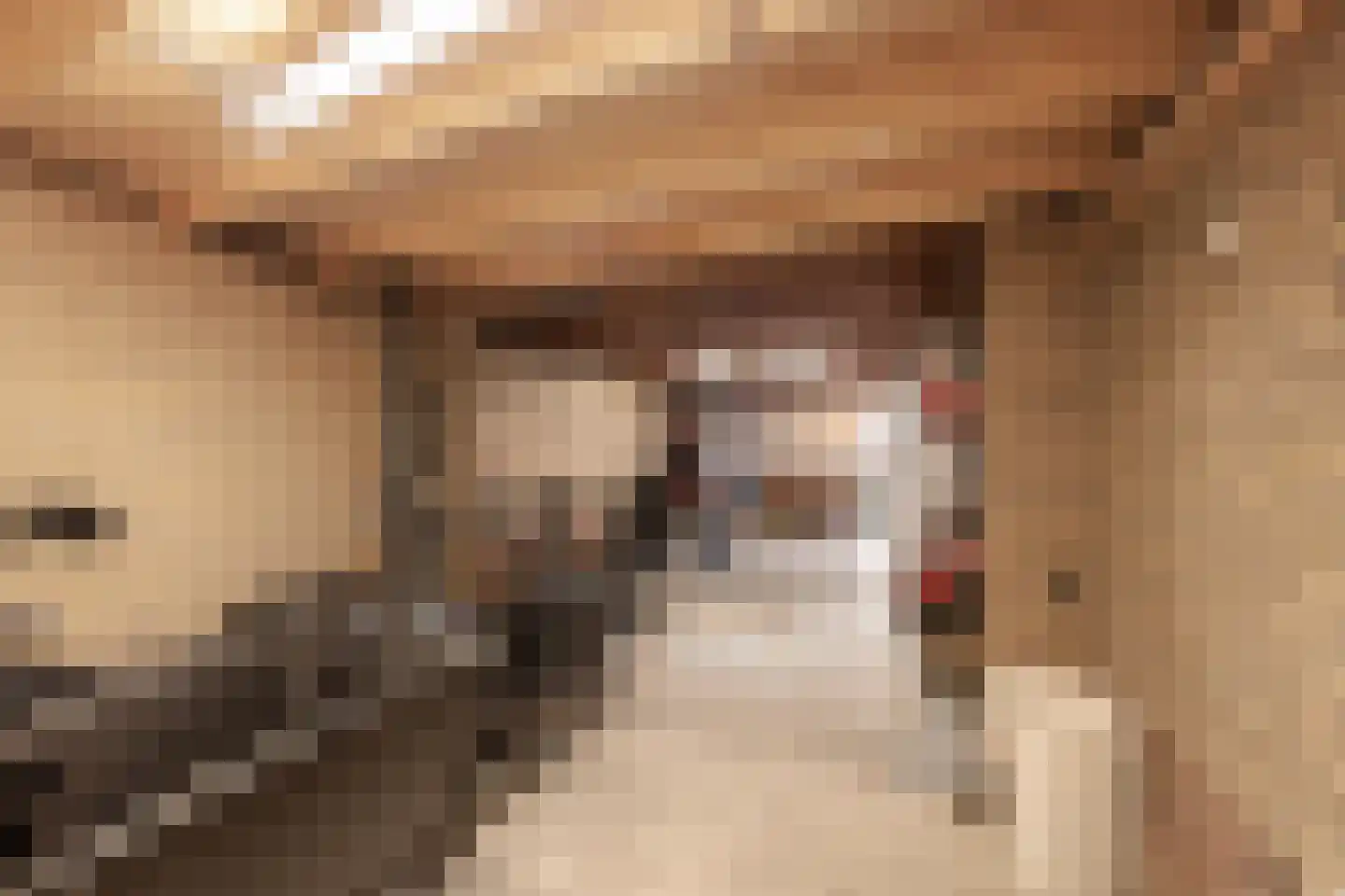 Tynjestrjitte 10 Parrega thumbnail 28