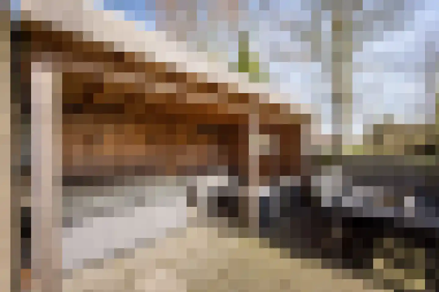 Tynjestrjitte 10 Parrega thumbnail 30