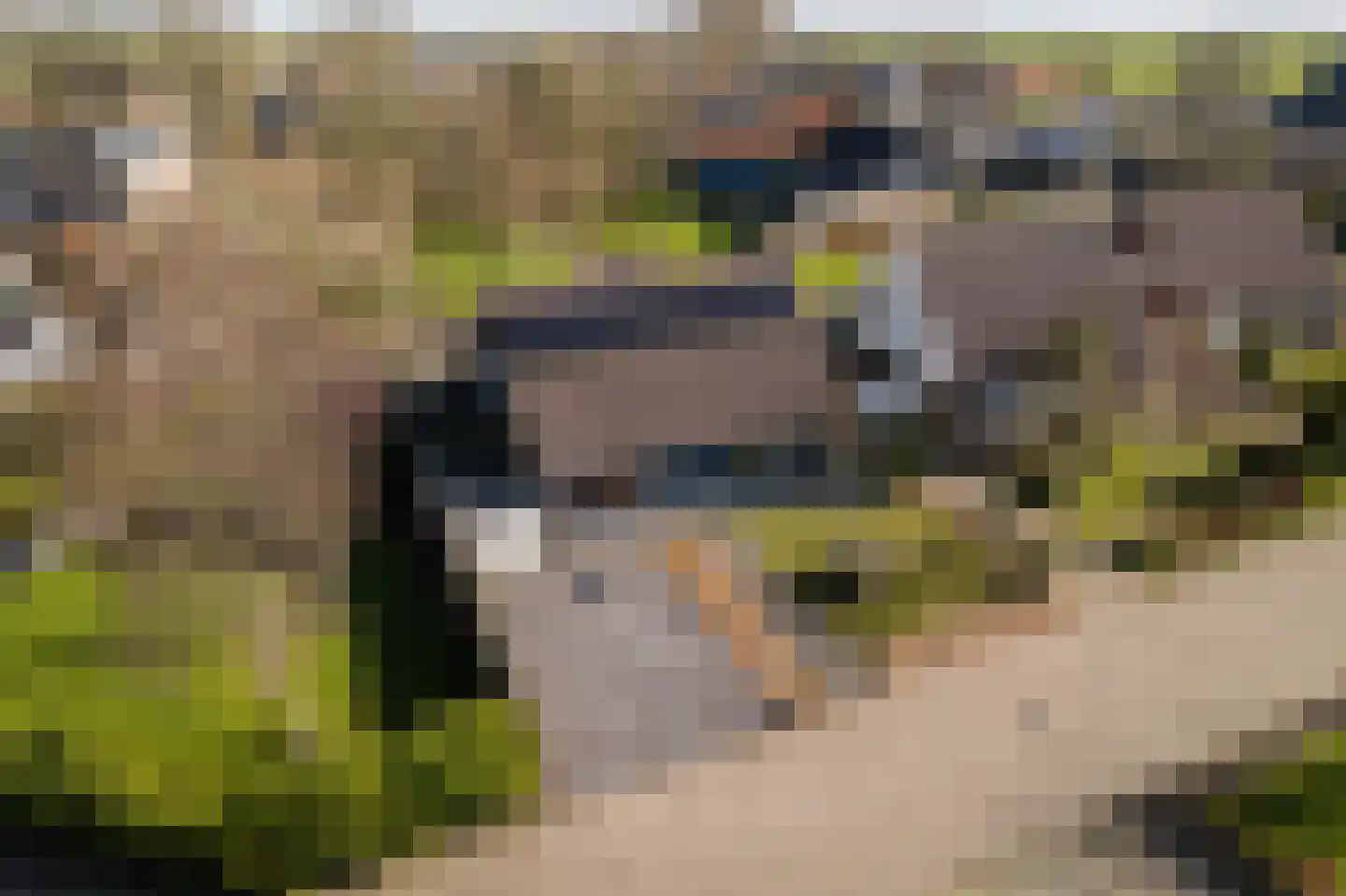 Tynjestrjitte 10 Parrega thumbnail 37