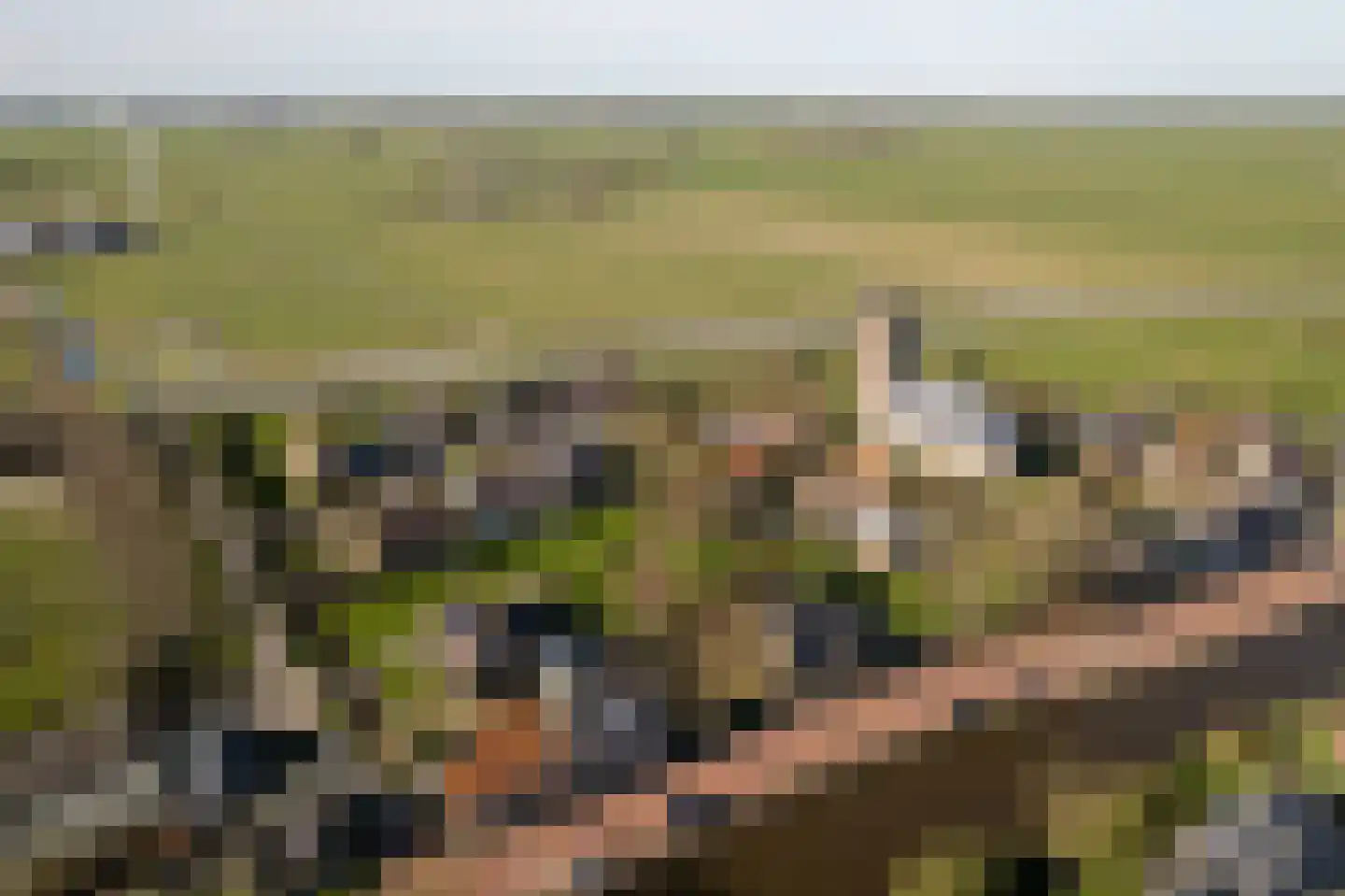 Tynjestrjitte 10 Parrega thumbnail 38