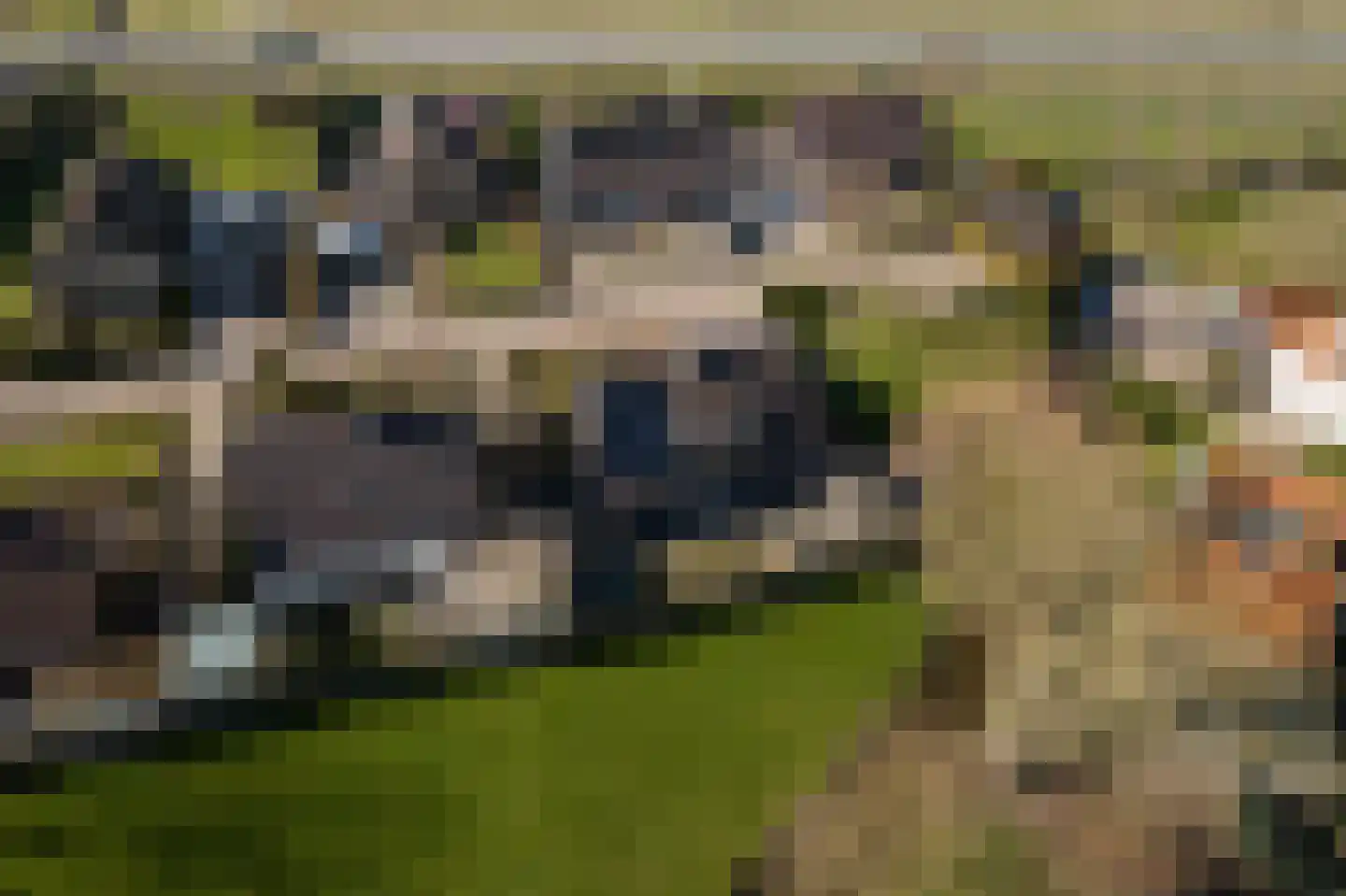 Tynjestrjitte 10 Parrega thumbnail 39