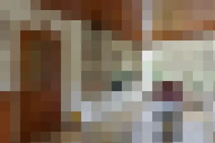Tyrasstraat 12 Hoorn thumbnail 6