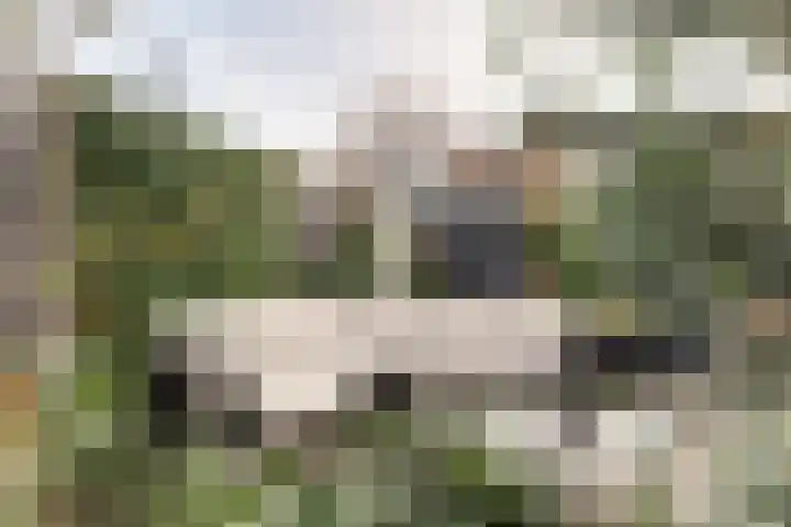 Tyrasstraat 6 Hoorn thumbnail 26