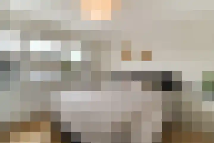 Tyrasstraat 6 Hoorn thumbnail 31