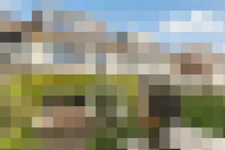 Tyrasstraat 6 Hoorn thumbnail 4