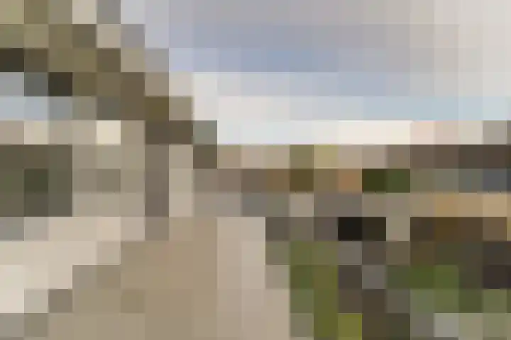 Tyrasstraat 6 Hoorn thumbnail 46