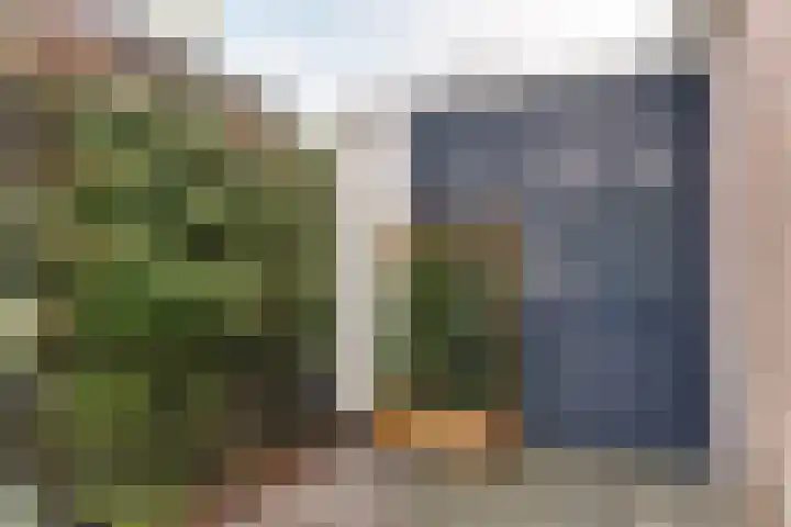 Tyrasstraat 6 Hoorn thumbnail 60