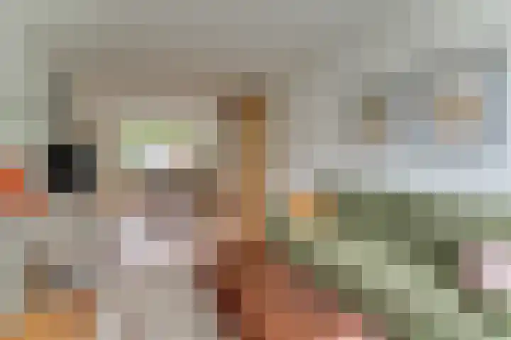 Tyrasstraat 6 Hoorn thumbnail 7