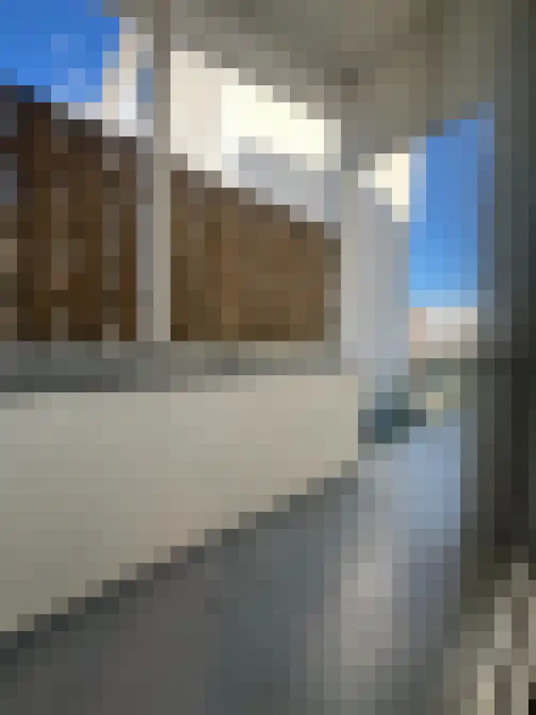 Tyrellsestraat 13 Vaals thumbnail 17
