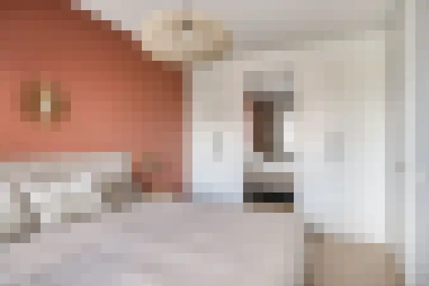 Tysseakker 19 Veghel thumbnail 12