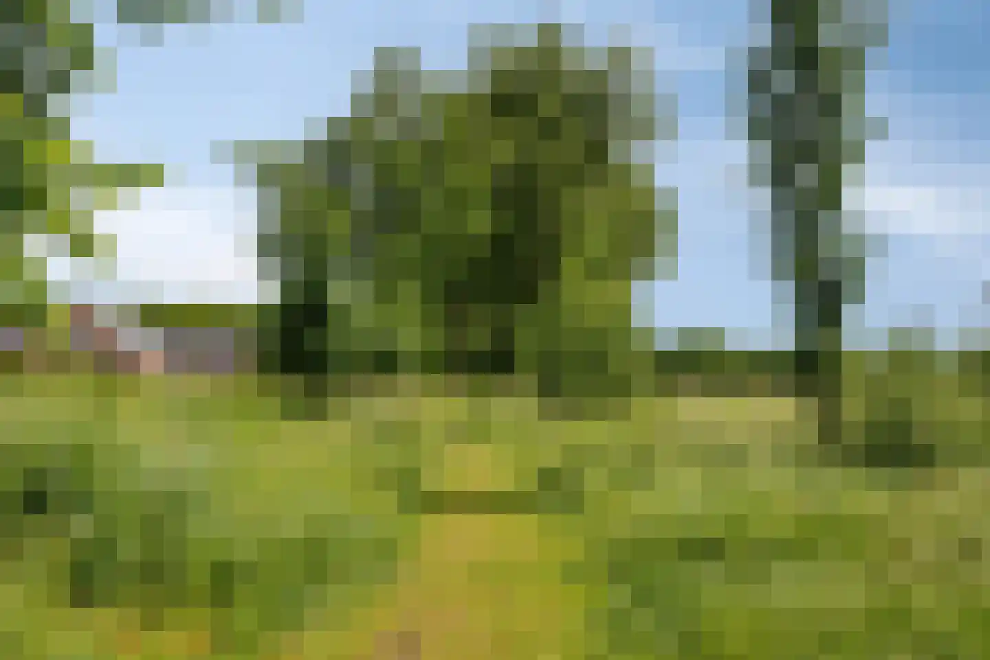 Tysseakker 19 Veghel thumbnail 28