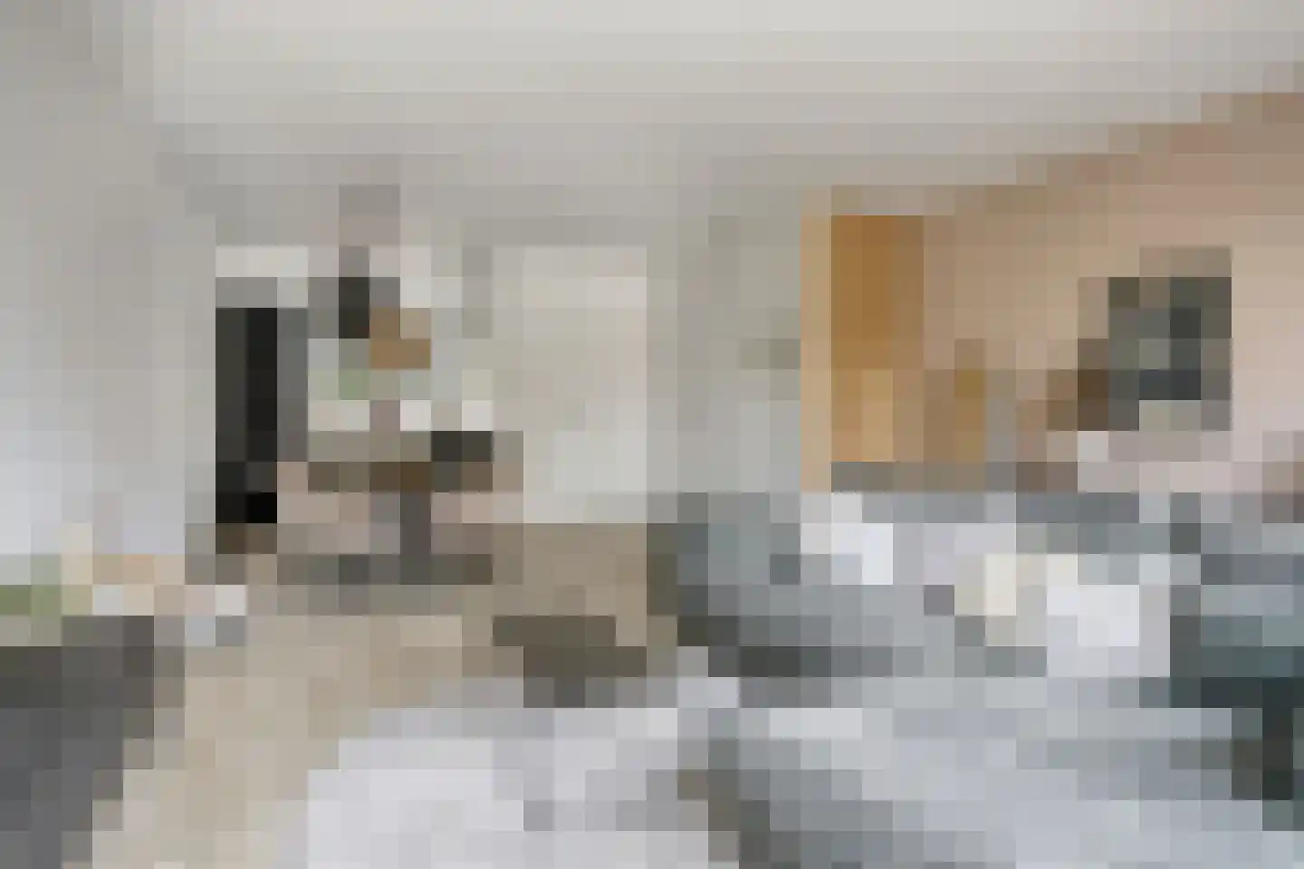 Tysseakker 19 Veghel thumbnail 5