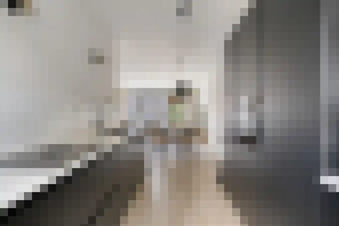 Tysseakker 19 Veghel thumbnail 9
