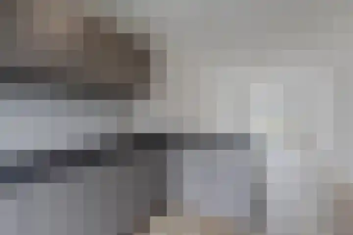 Tysseakker 8 Veghel thumbnail 12