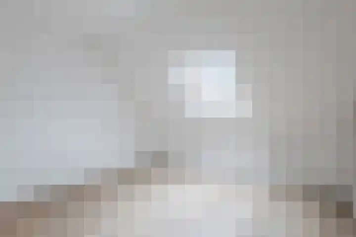 Tysseakker 8 Veghel thumbnail 21