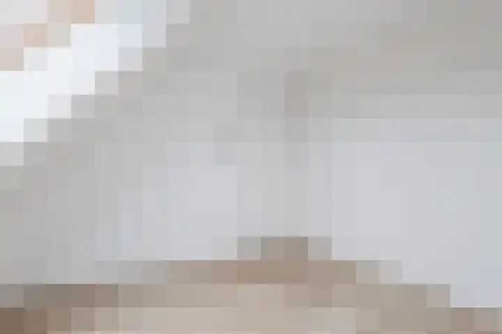 Tysseakker 8 Veghel thumbnail 25