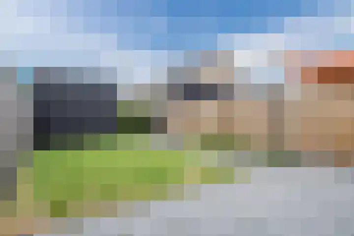 Tysseakker 8 Veghel thumbnail 28