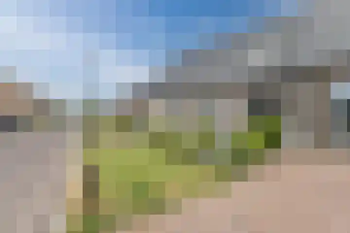 Tysseakker 8 Veghel foto 3