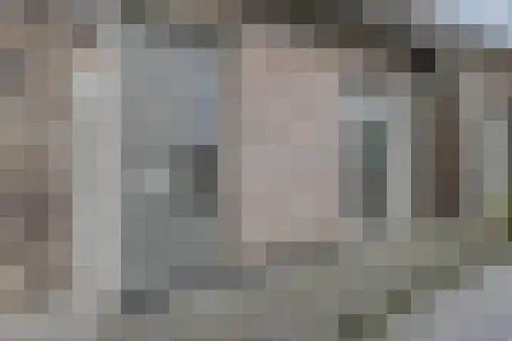 Tysseakker 8 Veghel thumbnail 5