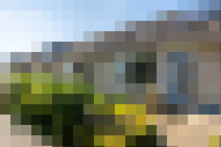 Tywert 18 Wommels