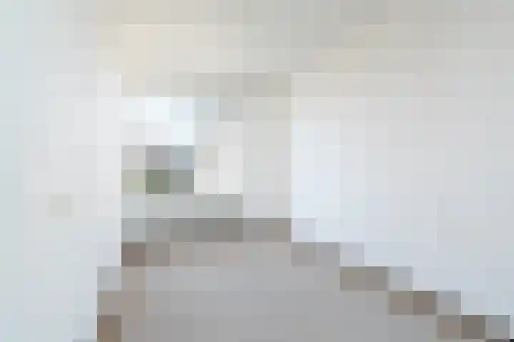 Tywert 18 Wommels thumbnail 10
