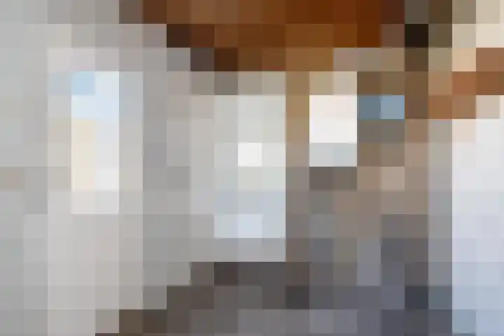 Tywert 18 Wommels thumbnail 16