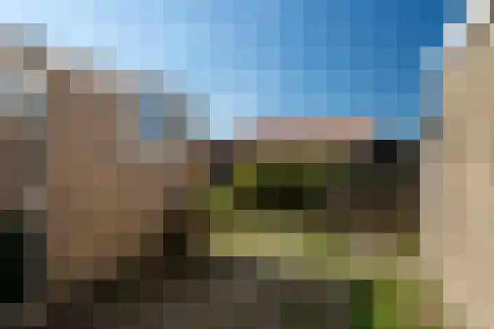 Tywert 18 Wommels thumbnail 17
