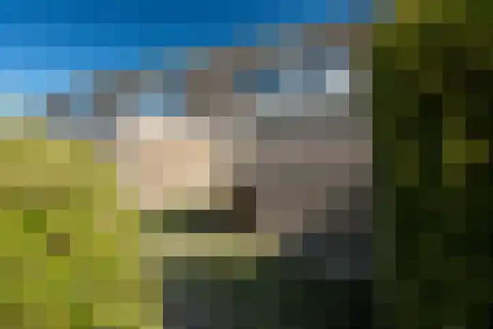Tywert 18 Wommels thumbnail 20