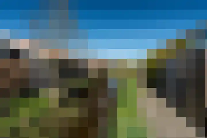 Tywert 18 Wommels thumbnail 21