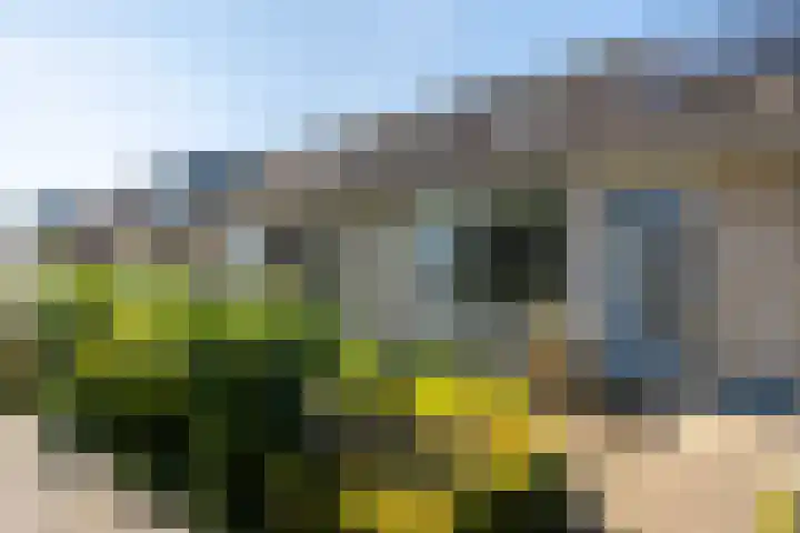 Tywert 18 Wommels thumbnail 39