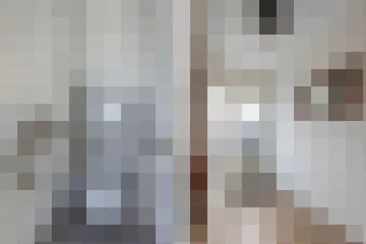 Tywert 24 Wommels thumbnail 10
