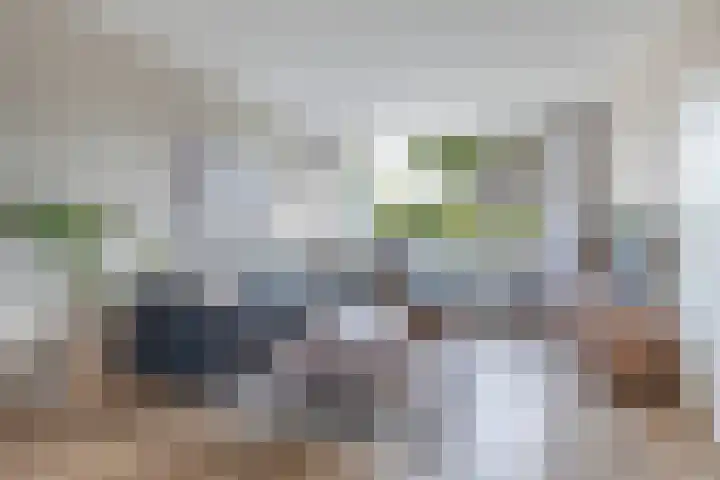 Tywert 24 Wommels thumbnail 11
