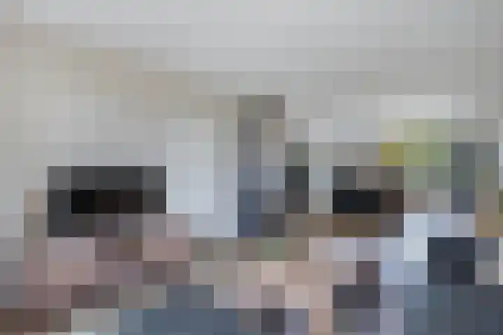 Tywert 24 Wommels thumbnail 12