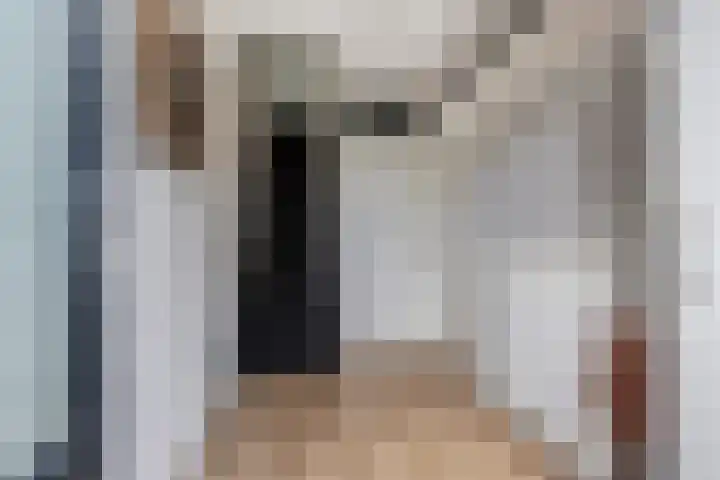 Tywert 24 Wommels thumbnail 22