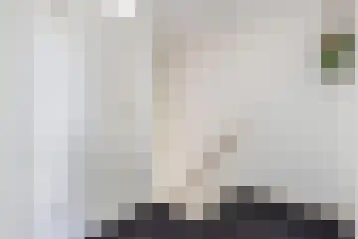 Tywert 24 Wommels thumbnail 23