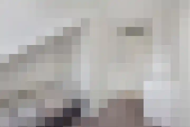 Tywert 24 Wommels thumbnail 26