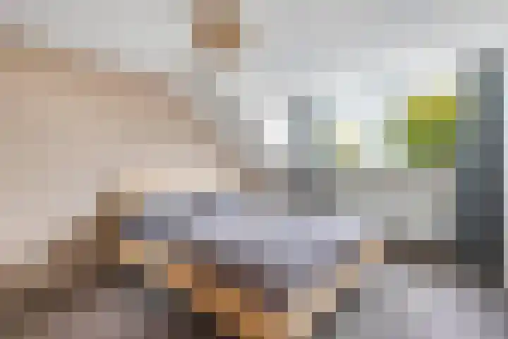 Tywert 24 Wommels thumbnail 29