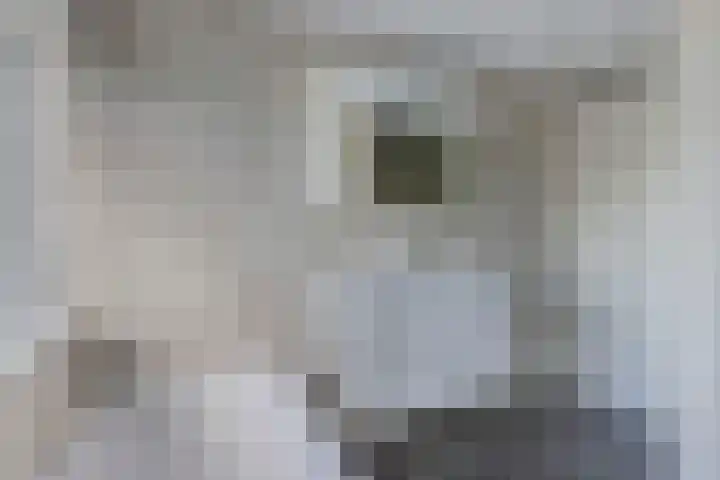 Tywert 24 Wommels thumbnail 33