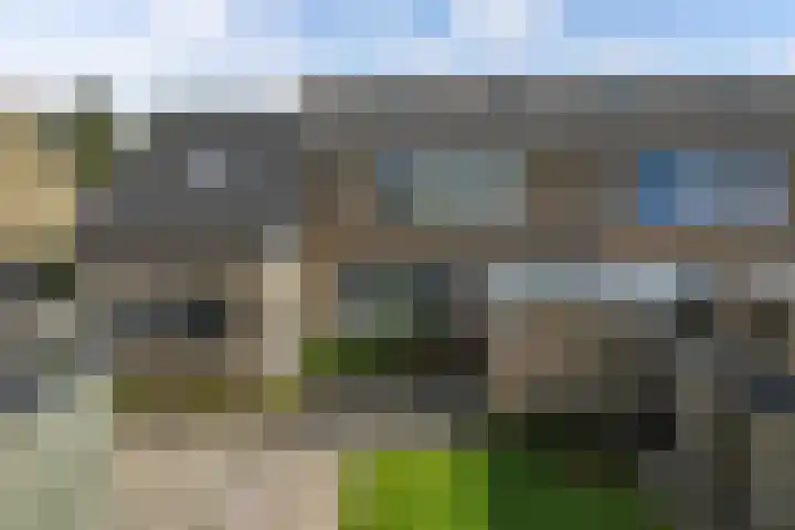 Tywert 24 Wommels thumbnail 34