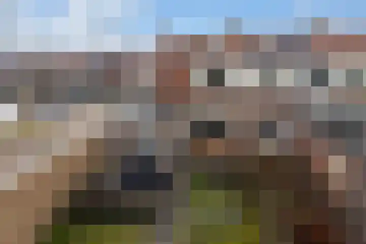 Tywert 24 Wommels thumbnail 39