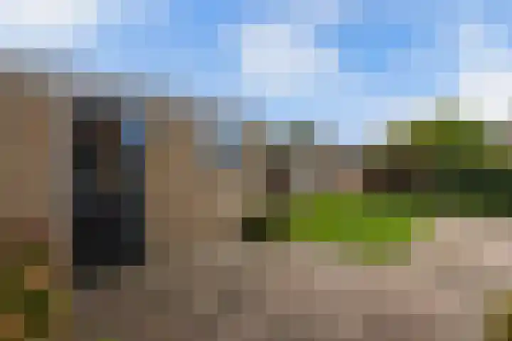 Tywert 24 Wommels thumbnail 40