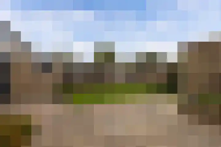 Tywert 24 Wommels thumbnail 41