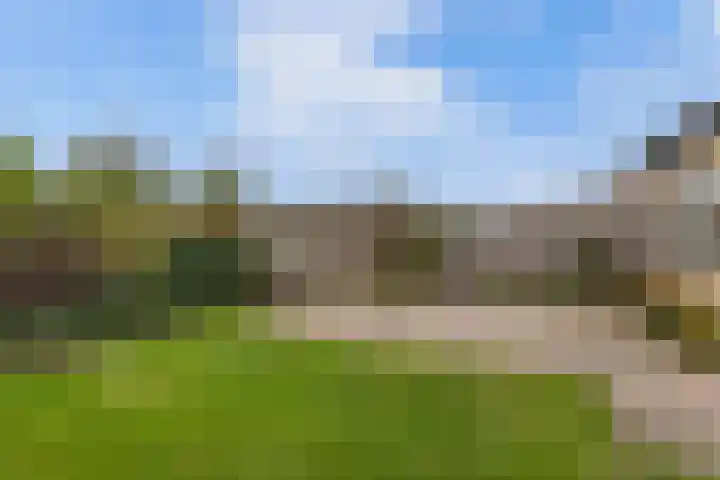 Tywert 24 Wommels thumbnail 43