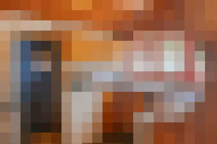 Tywert 24 Wommels thumbnail 44