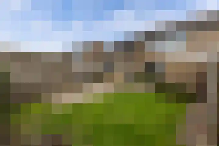 Tywert 24 Wommels thumbnail 45