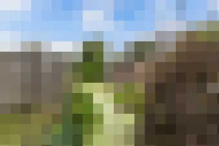 Tywert 24 Wommels thumbnail 46